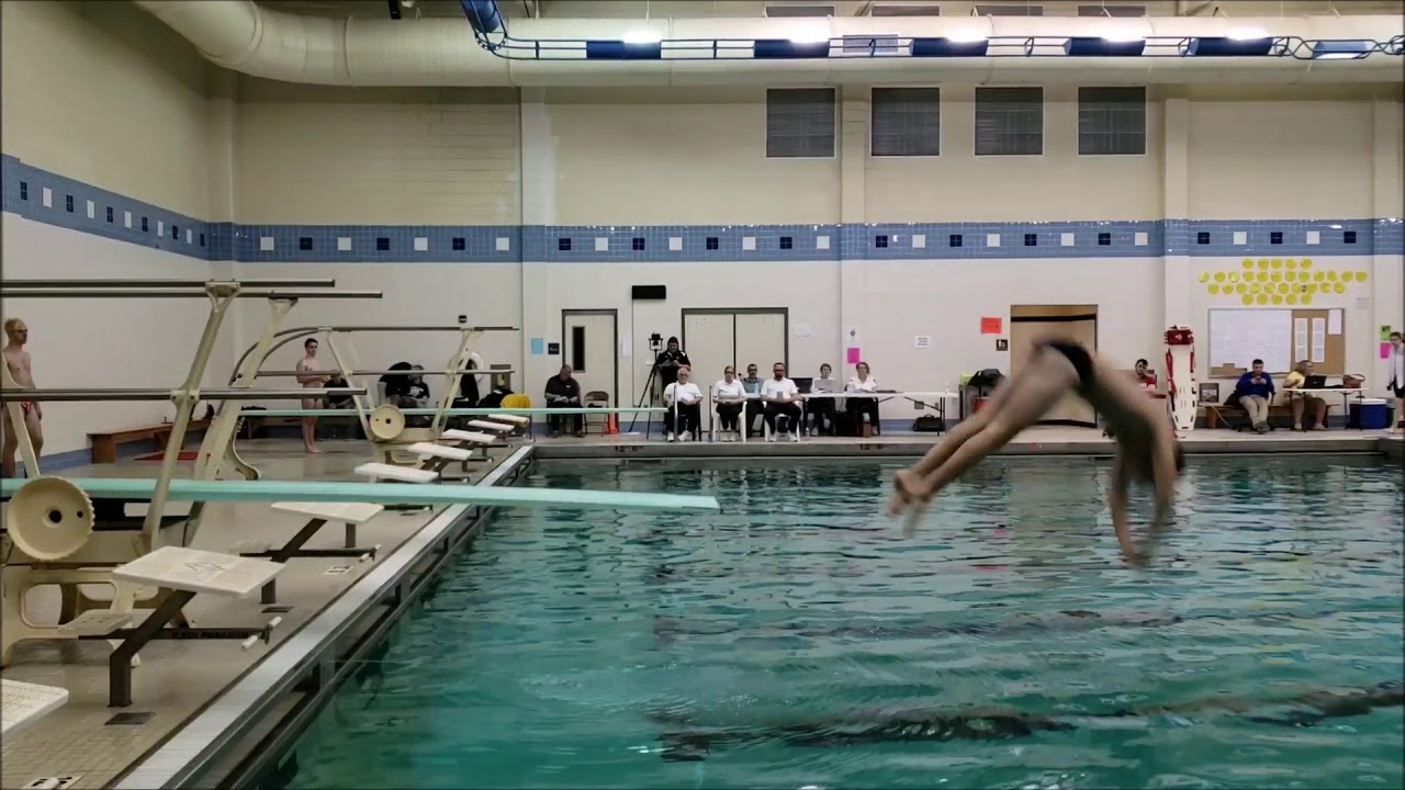 Emil Vasko   PIAA Boys District 1 Diving Championships 2019
