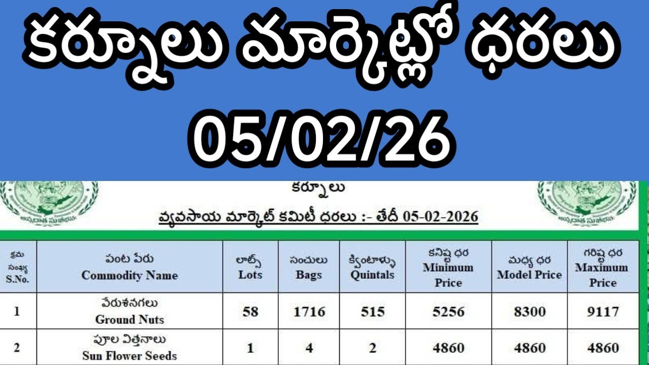 Today Kurnool Market Ratetoday Kurnool Market Rate Kgtoday Kurnool Kurnool Market Yard Rates Today