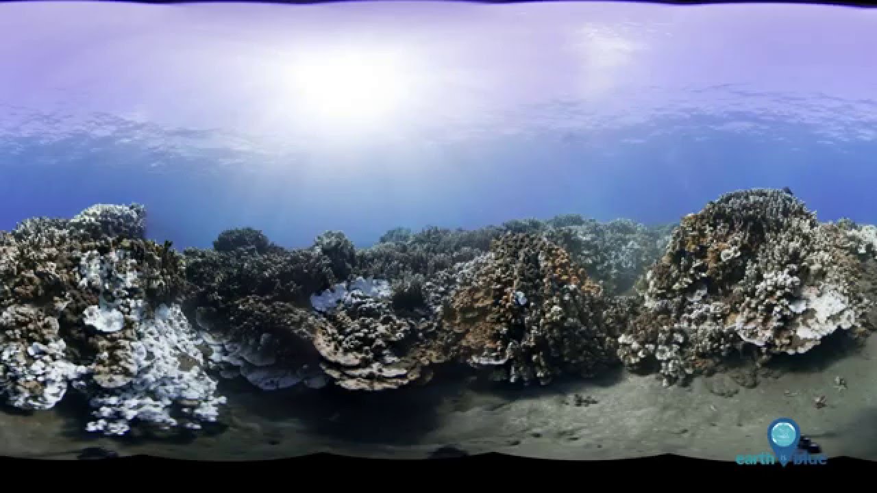 Your Earth is Blue: Exploring an F6F Hellcat Fighter Wreck