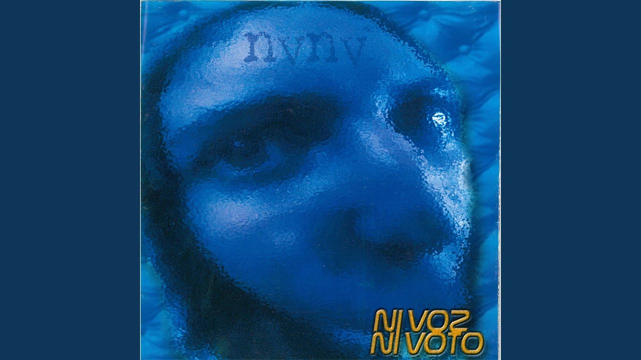Ni Voz Ni Voto
