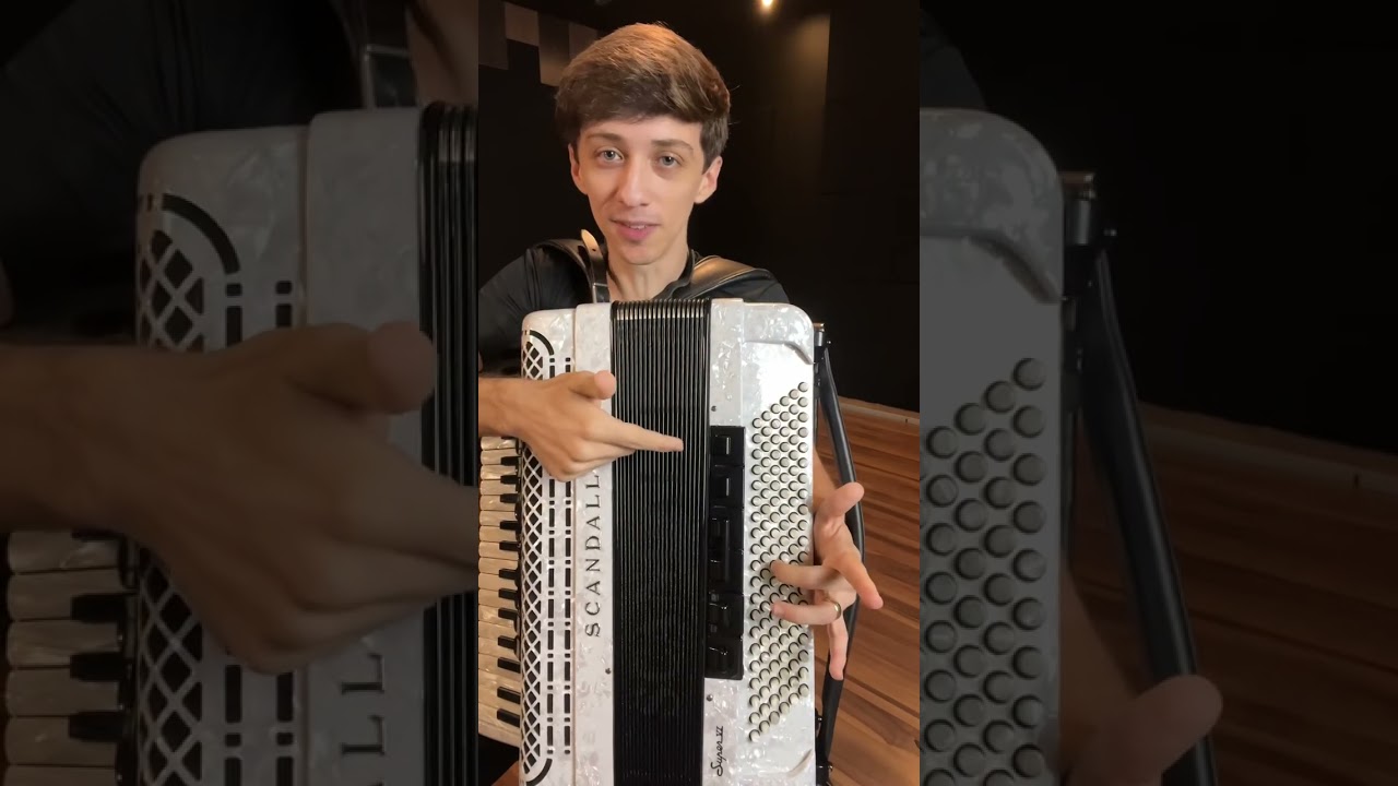 Como Funciona os Baixos do Acordeon? Aula Completa de Acordeon para Iniciantes