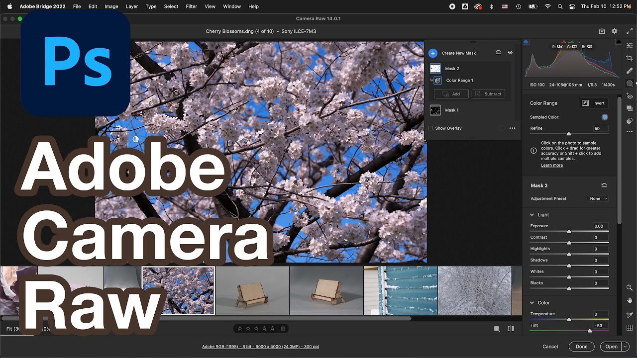 Adobe Camera Raw for Beginners: Complete Guide to RAW Editing in Photoshop