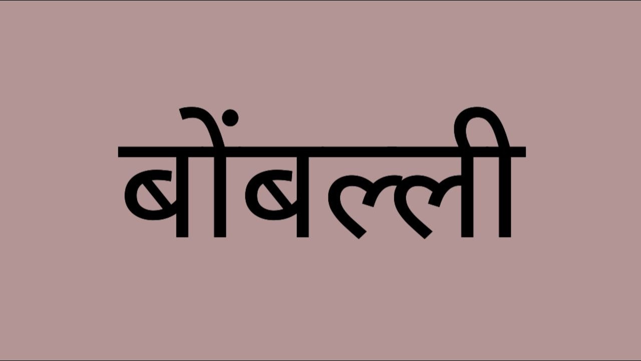 गुढीपाडव्याच्या मुहूर्तावर स्वानंदीने समोरला हटके सरप्राईज देताच मल्लिका बोंबल्ली