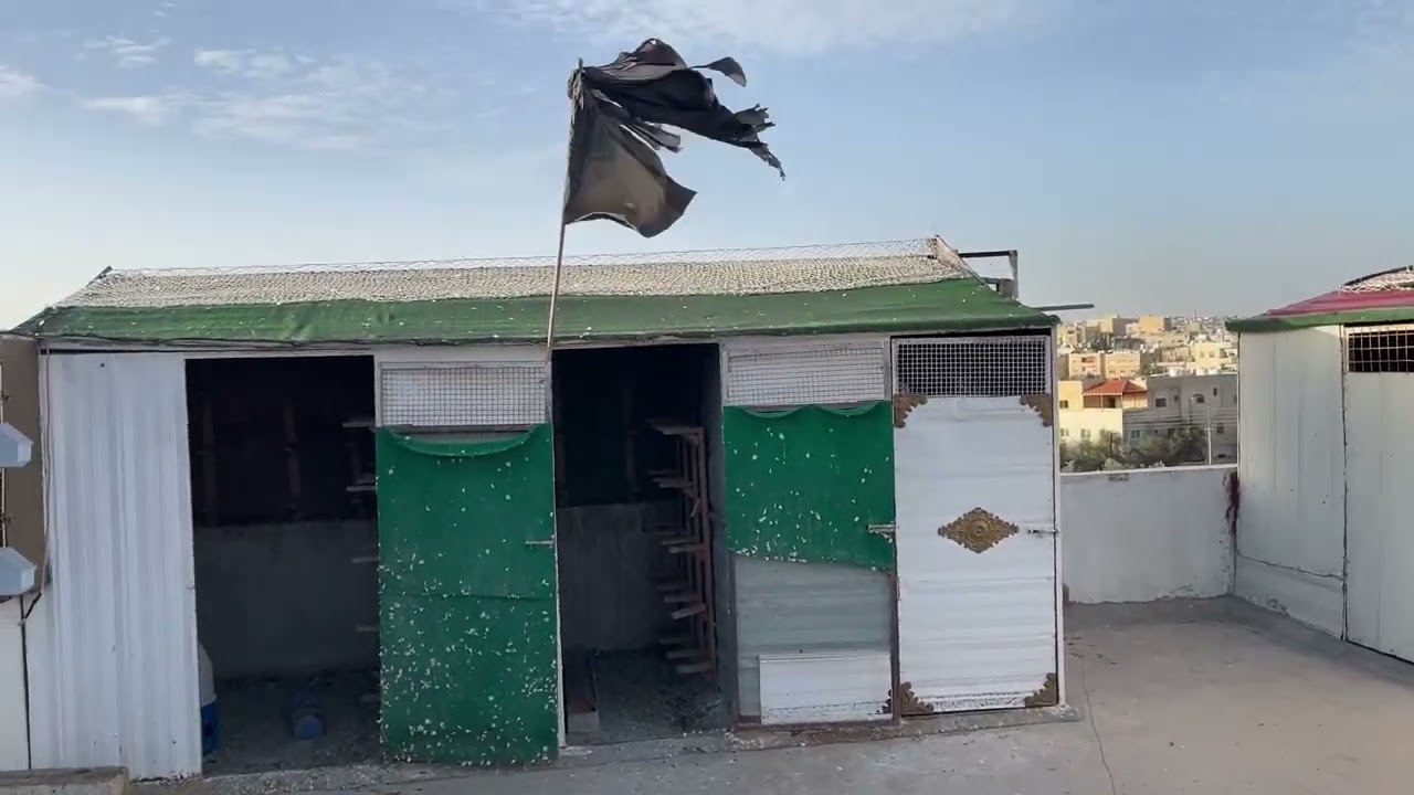 كم حبه ضيعنا وشو هم وفتحنا ع الحمام الجديده 