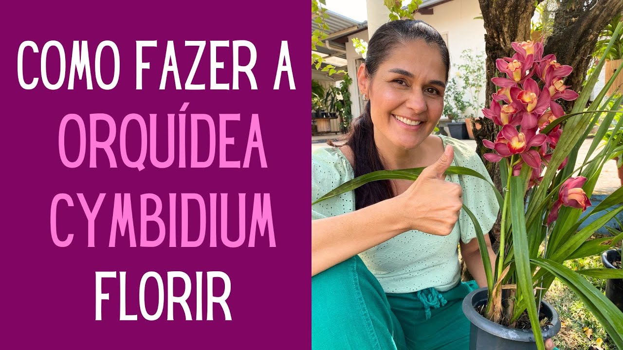 ORQUÍDEAS: Aprenda como cuidar da ORQUÍDEA CYMBIDIUM e a fazer seu replantio, na prática