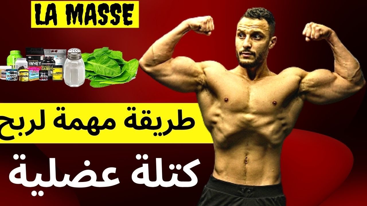 خطة مجانية ستغير جسدك كفاش تغير التدريب و شنو تاخد قبل ذالك لضخامة عضلية صحية