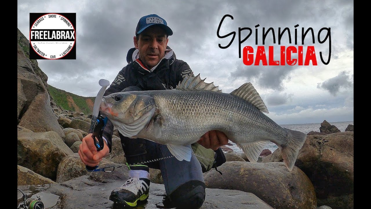 Lubinas a Spinning en Galicia.|LA CRUDA REALIDAD| -Trip#4-