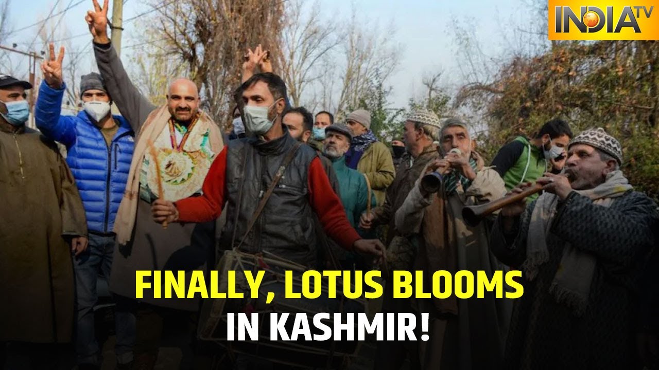 J-K DDC Polls: Gupkar Alliance Makes Historic Win, BJP Emerges As Single Largest Party With 74 Seats