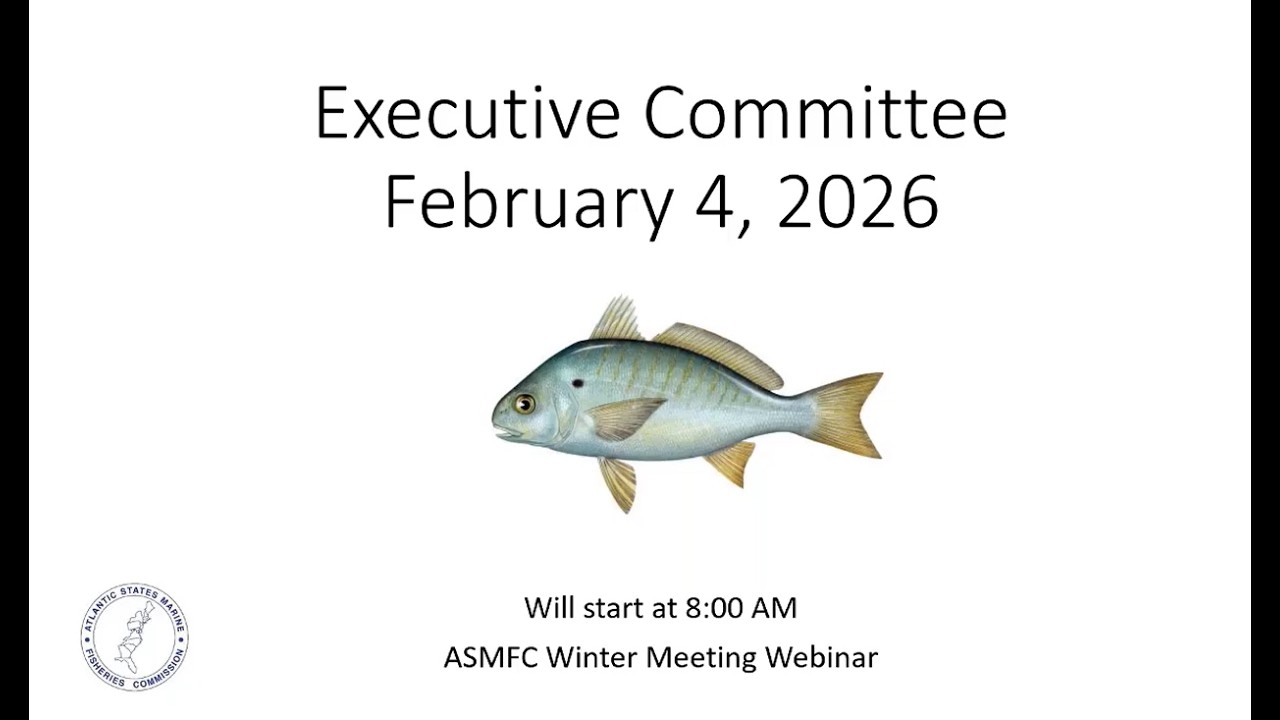 Executive Committee Proceedings February 2026