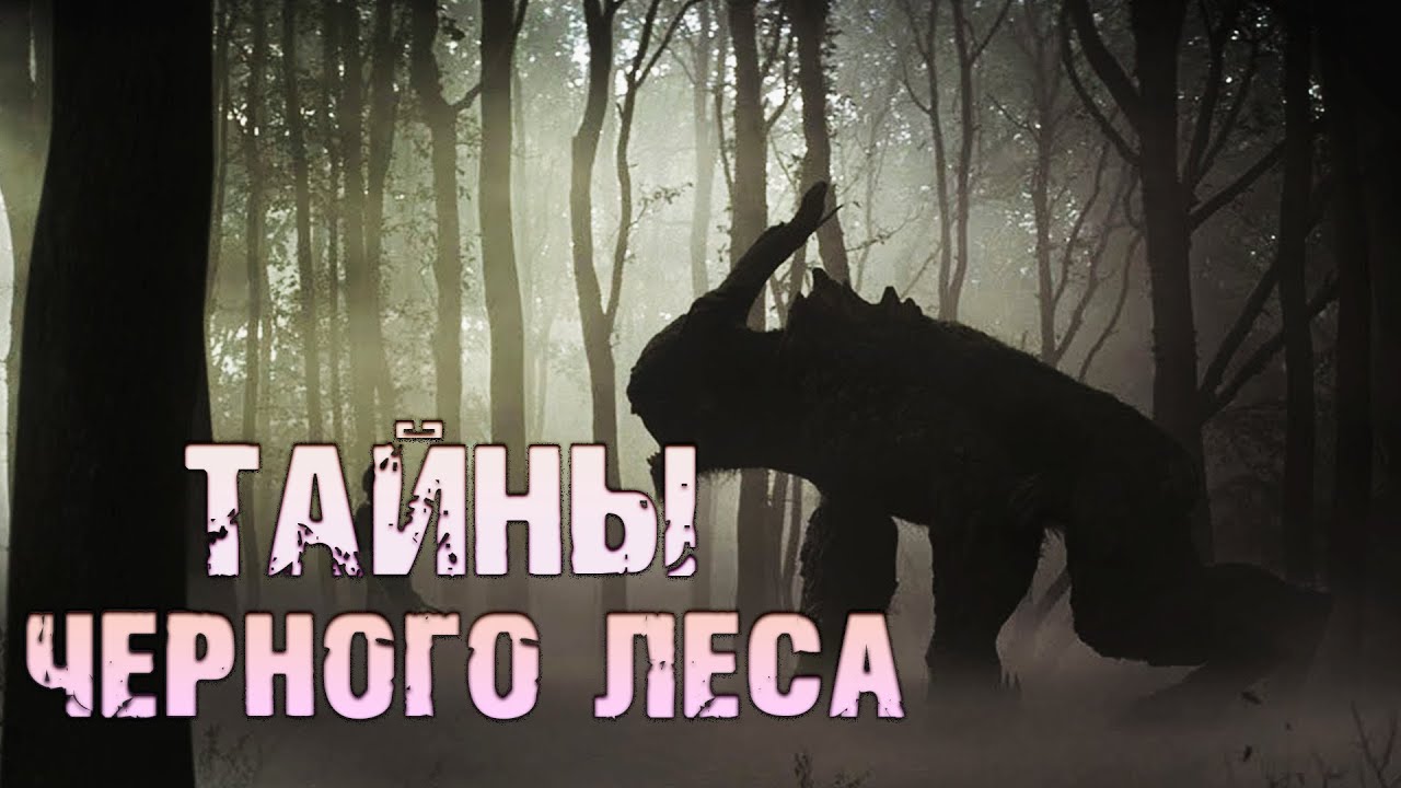 Страшная история на ночь | ТАЙНЫ ЧЕРНОГО ЛЕСА | Черный Рик