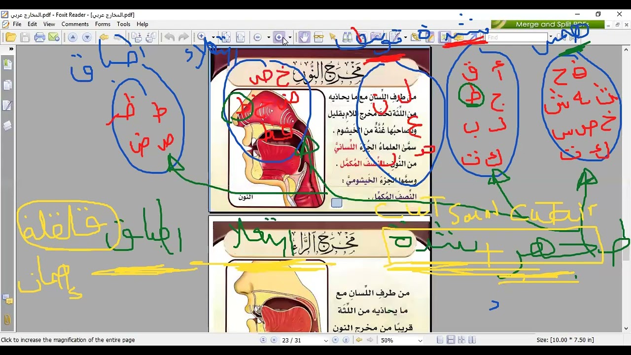 شرح مخرج  الطاء