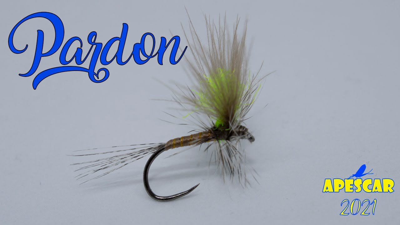 Pesca Como un PRO con Moscas Secas Pardon y March Brown!