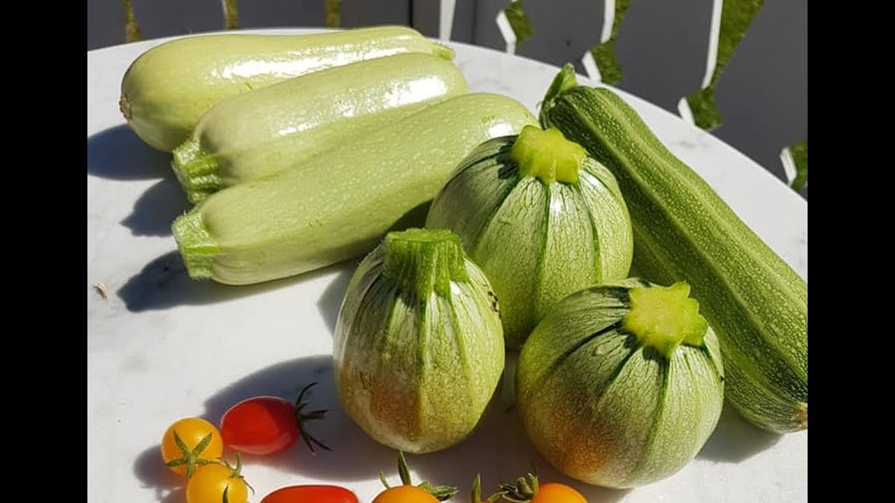 21. Hvordan kan vi få mange squash fra kun en plante?