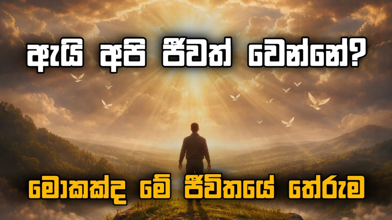 ඇයි අපි ජීවත් වෙන්නේ? | මොකක්ද මේ ජිවිතේ තේරුම | Manoj Madusanka