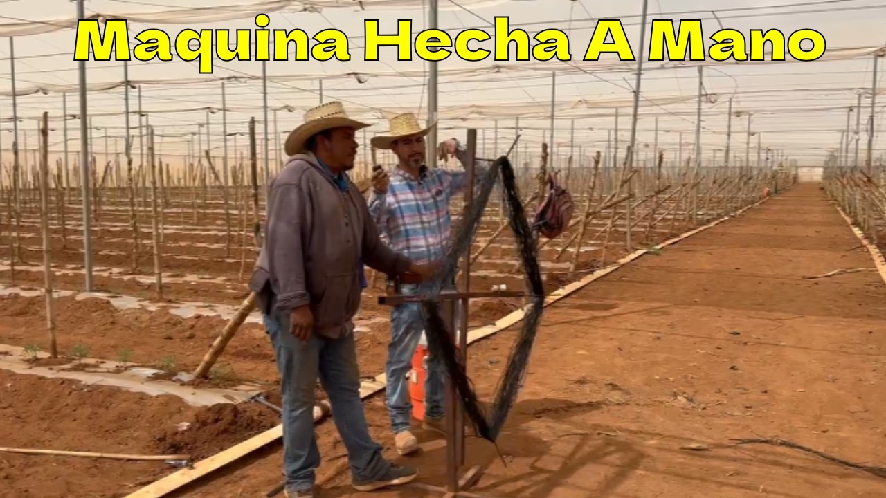 Esta Maquina Facilita El Trabajo En El Campo Zacatecano.