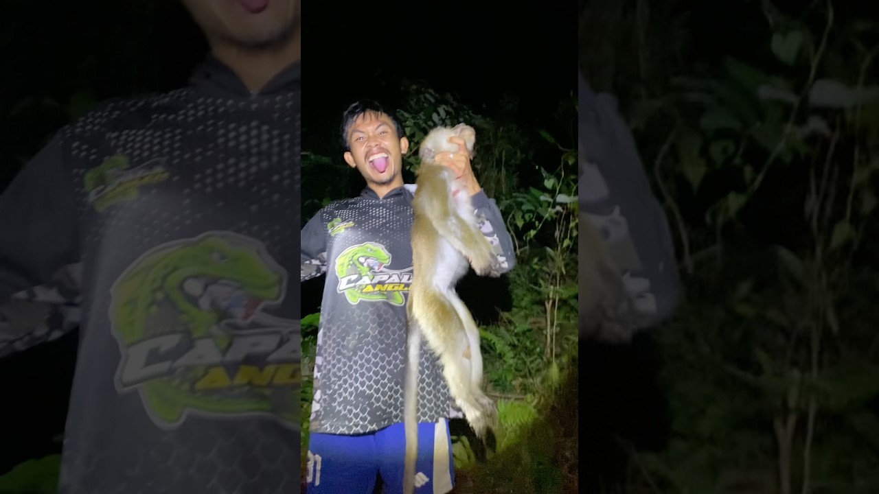 Berburu hama monyet di kebun warga belakang rumah #hunting