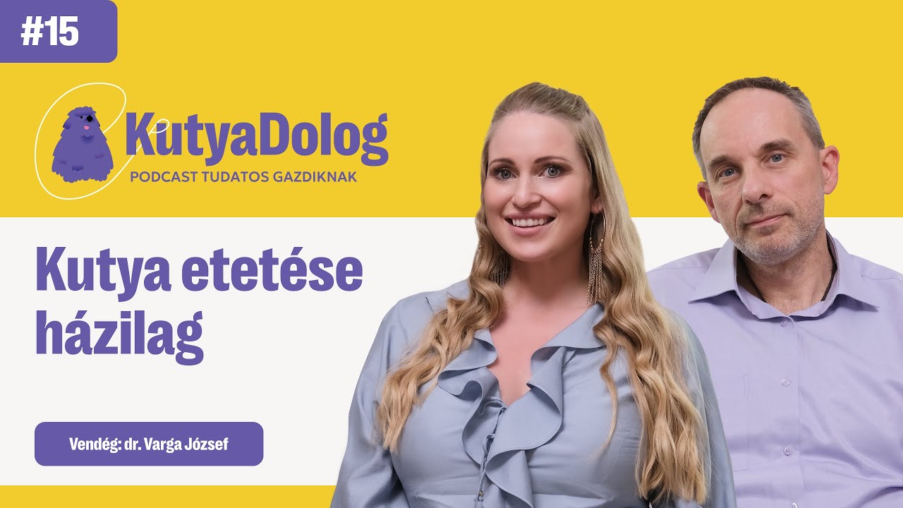Főzz otthon a kuty&aacute;dnak! Mi&eacute;rt eg&eacute;szs&eacute;gesebb a főtt &eacute;tel? | KutyaDolog podcast #15