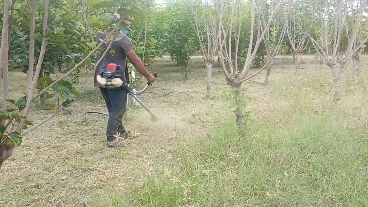 #களை மேலாண்மை # உடனடி களை தீர்வு #களை உரம் #farming decompost #brush cutter #8148963523