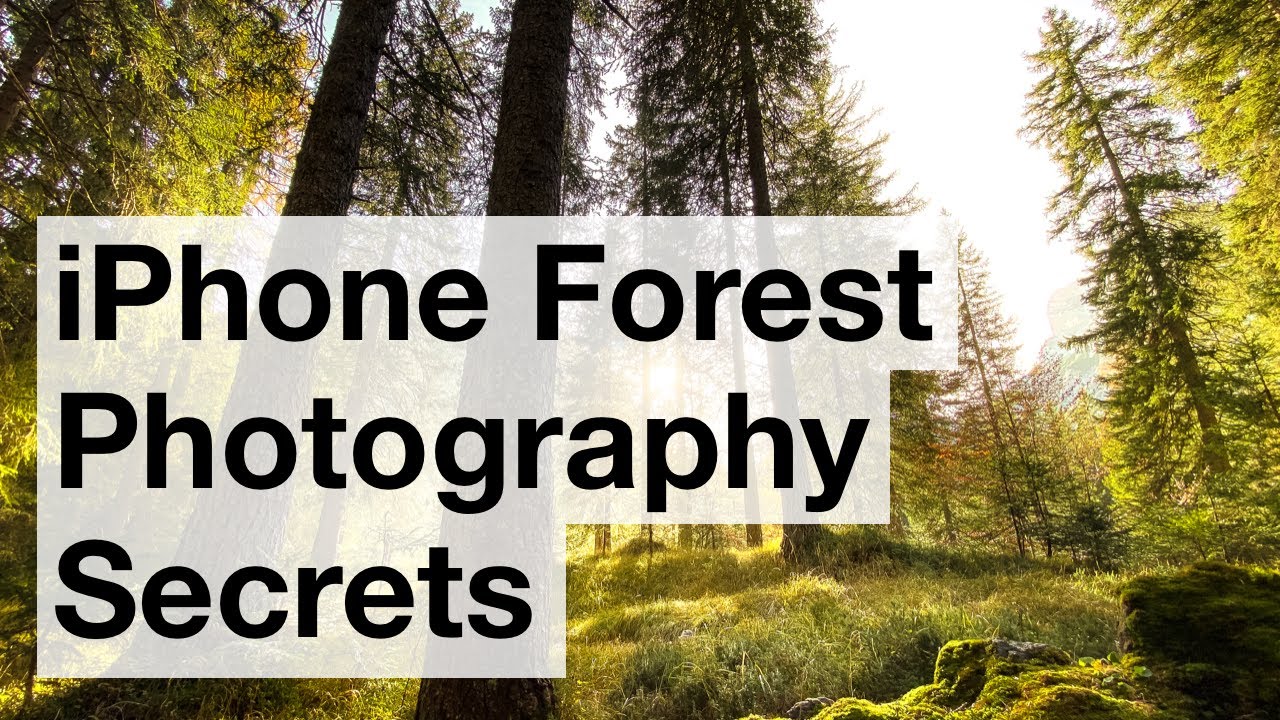 Secrets For Stunning iPhone Forest Photos – iPhone Landscape Mastery