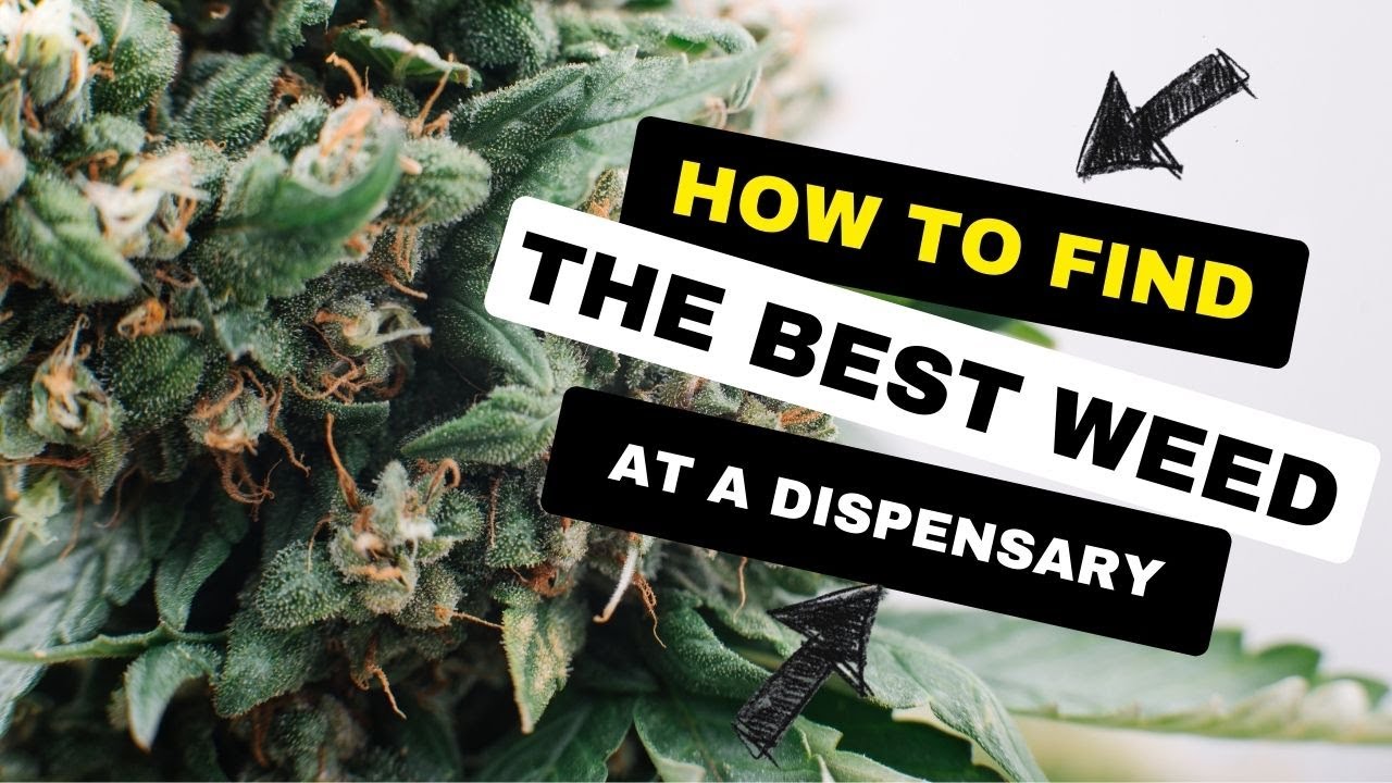 How to find the BEST WEED at a Dispensary!