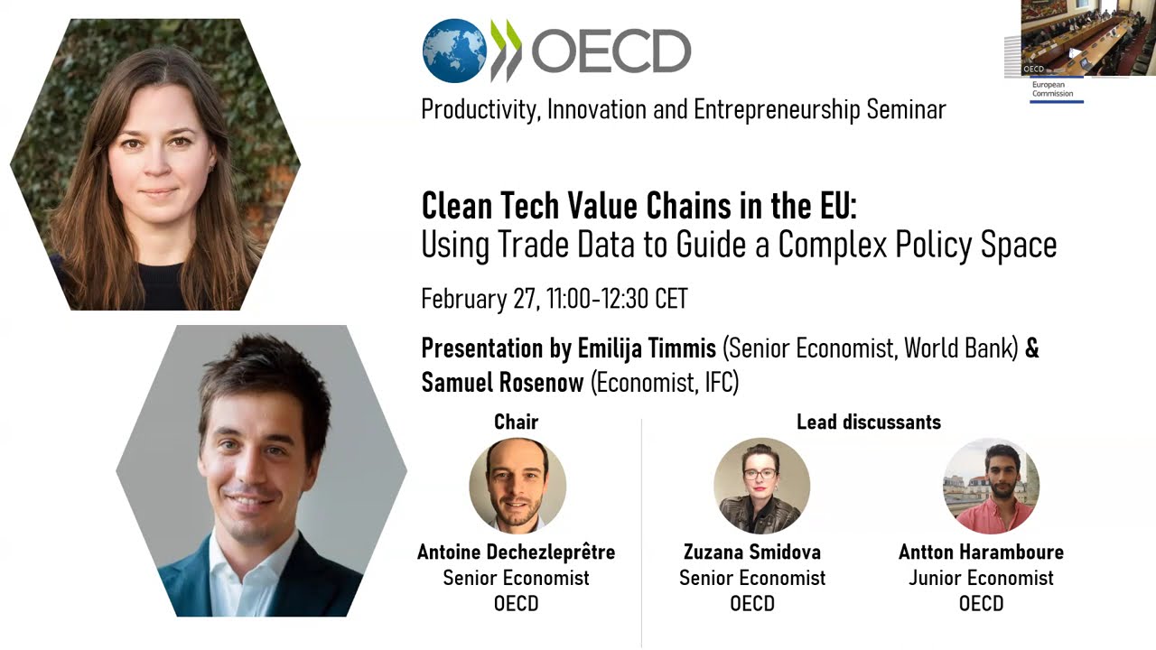 Clean Tech Value Chains in the EU: Using trade data to guide a complex policy space