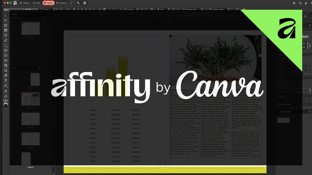 Affinity By Canva