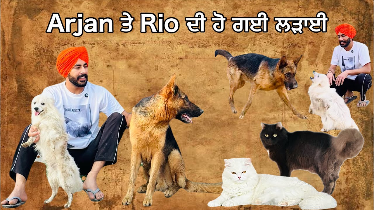 Rio ਤੇ Arjan ਦੀ ਹੋਗੀ ਲੜਾਈ Punjabi funny vlog