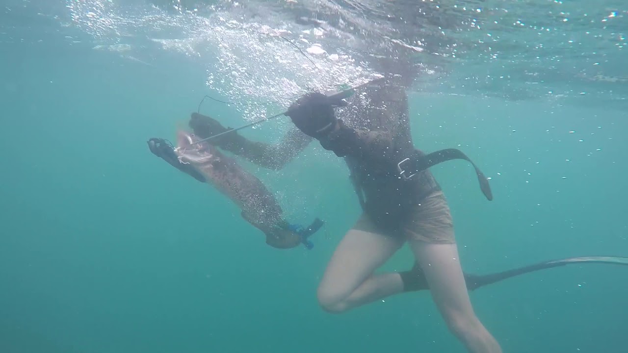 Spearing Ling 101: Victoria Rockling