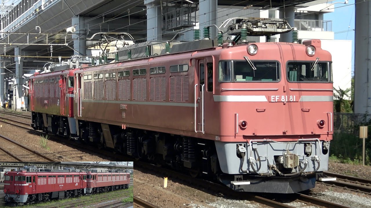【元お召指定機引退】EF81 81+ED75 758 AT入場配給（廃車回送）2025.9.2