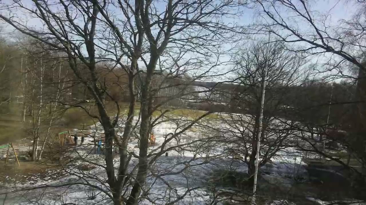 Daily Timelapse Pi0Cam 2026-03-13