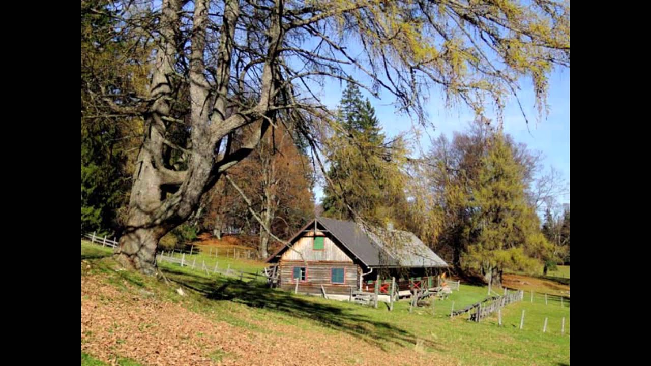 Jolly Band - Domača Hiša