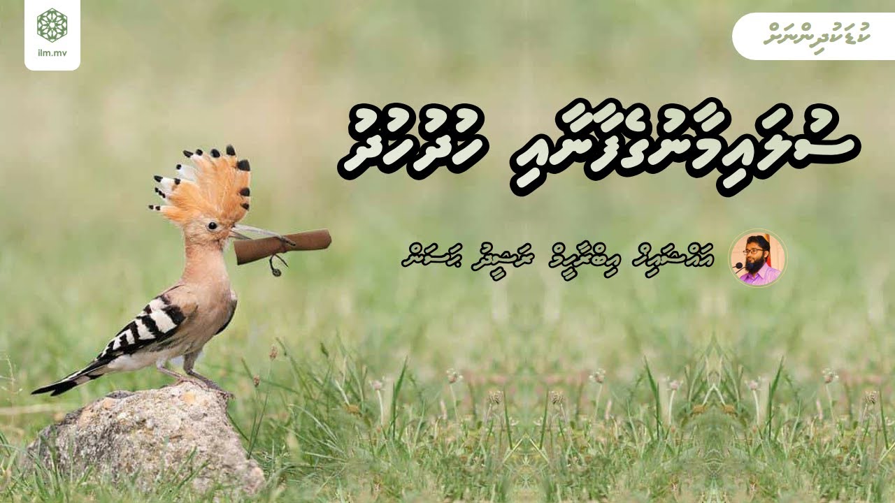 Sulaimange Faanaai Hudhu Hudhu | Sheikh Ibrahim Rasheedh Hassan | Kudakudhinnah