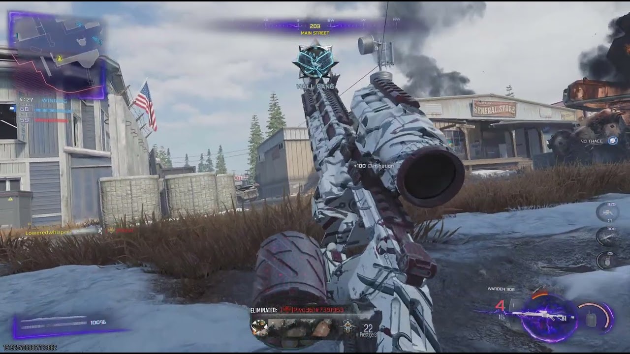 Call of Duty_36-6 Scar  Warden 308