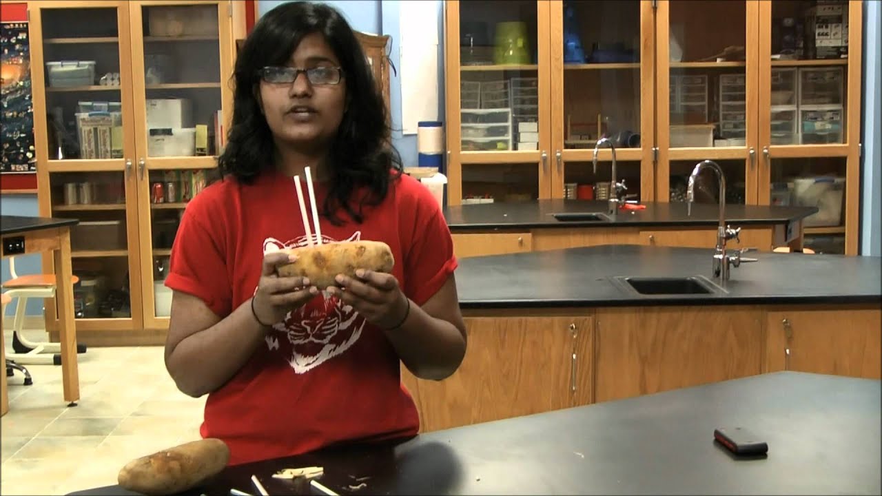 Straw through a potato