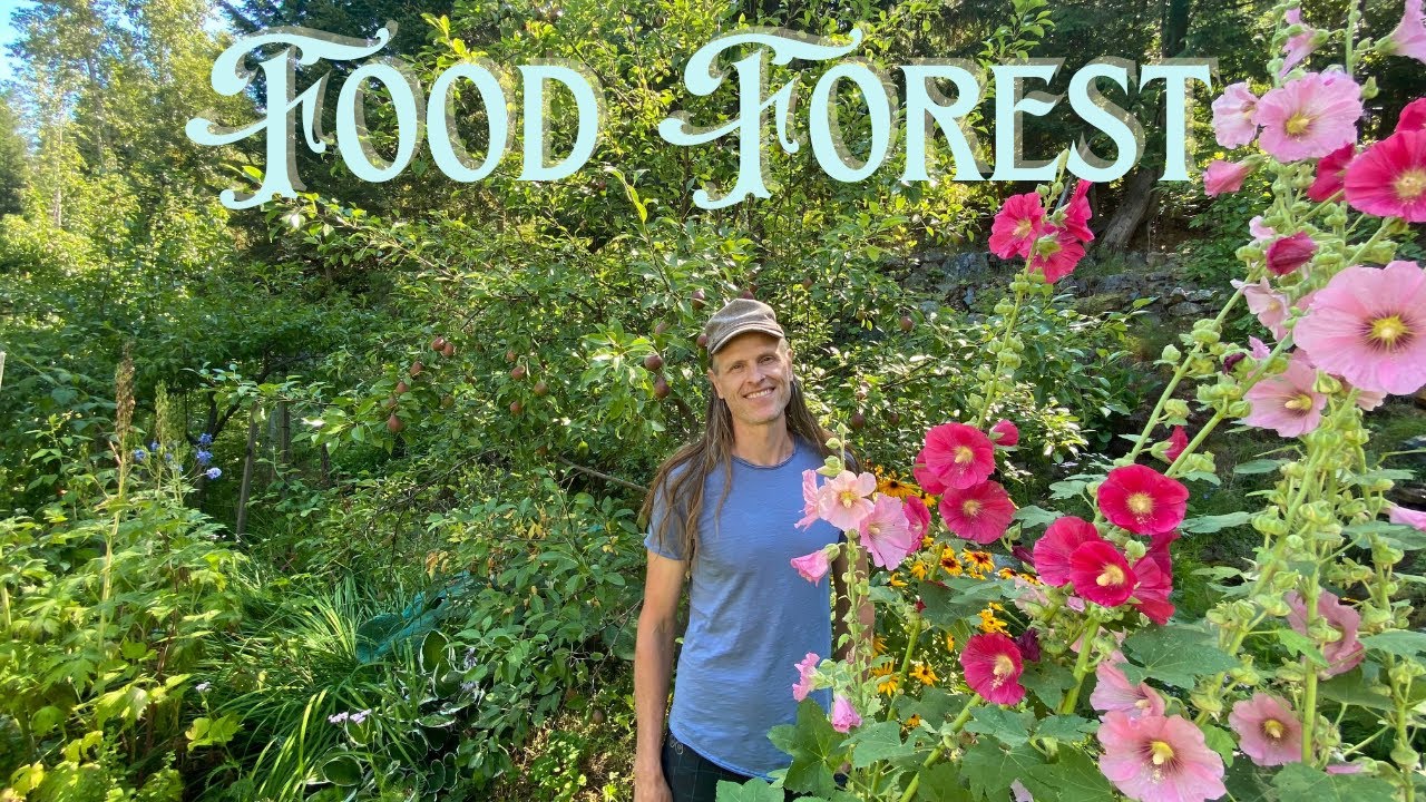 The Marvels Of Growing Your Own Food