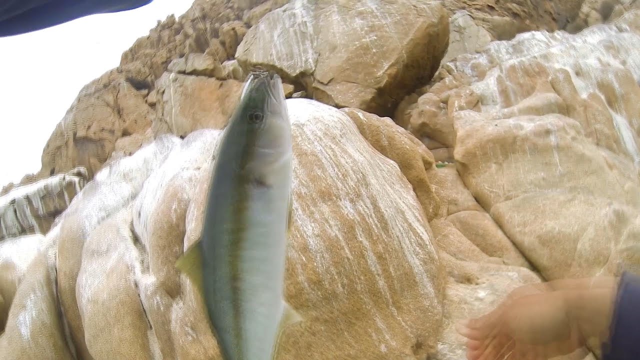Pesca de Palometas - Fuerte Lambert Coquimbo