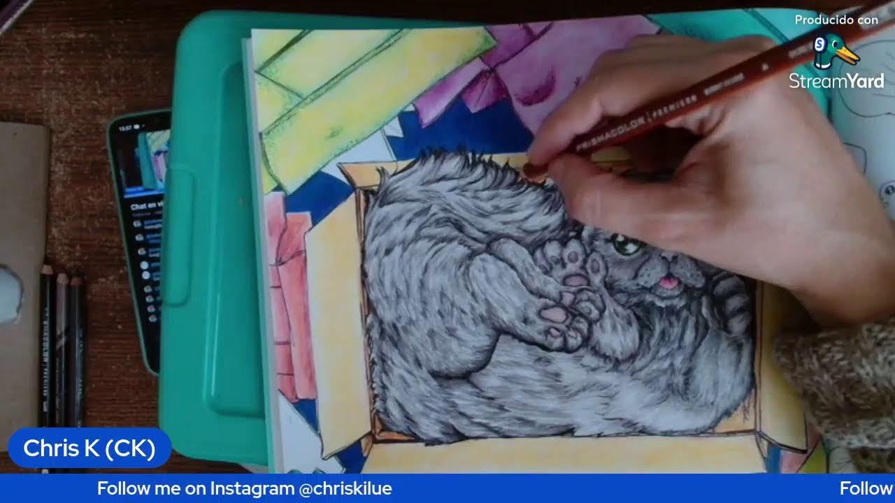 Sunday coloring test stream.
