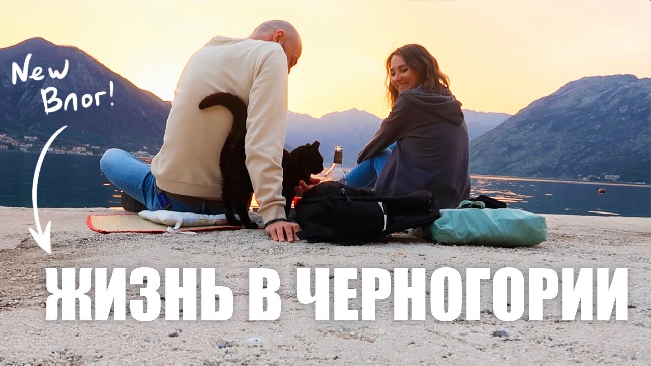 Жизнь фрилансеров в Черногории| Покупки для дома| Рыбный магазин | Отдых у моря