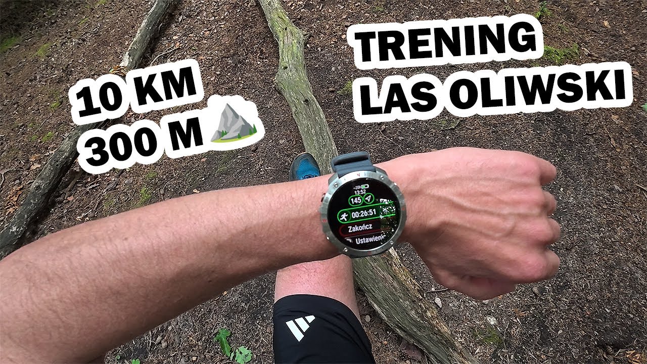 Trening biegowy Lasy Oliwskie - 10KM / 300 metrów przewyższenia