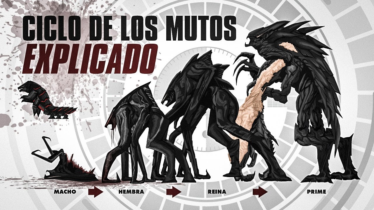 El Ciclo de Vida de los MUTOS EXPLICADO