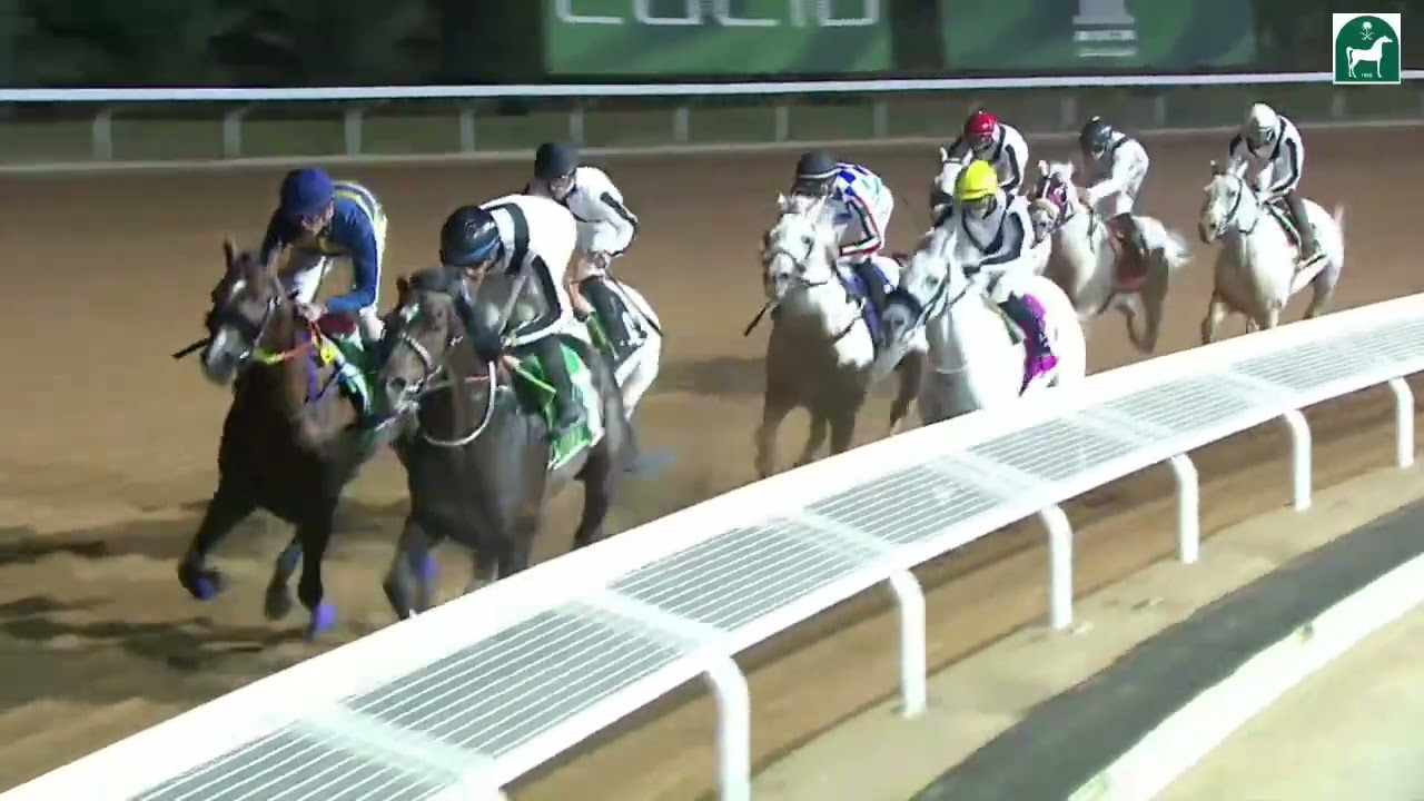 الخيل العربية الأصيلة تصنيف +100