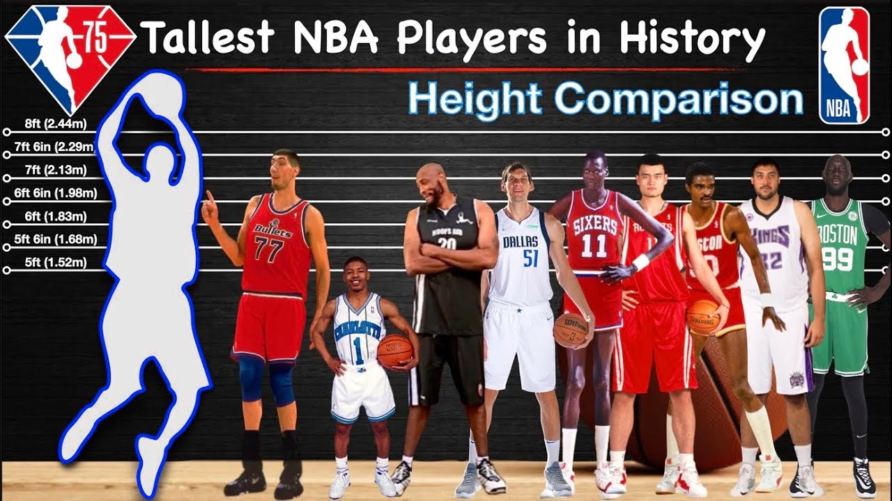 Height Comparison | Tallest NBA Players in History