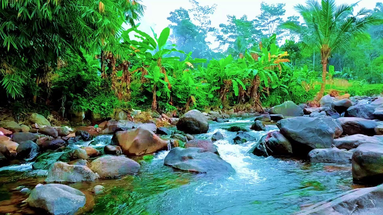 Peaceful River Flow – Relaxing Nature Sounds for Deep Sleep & Calm Mind