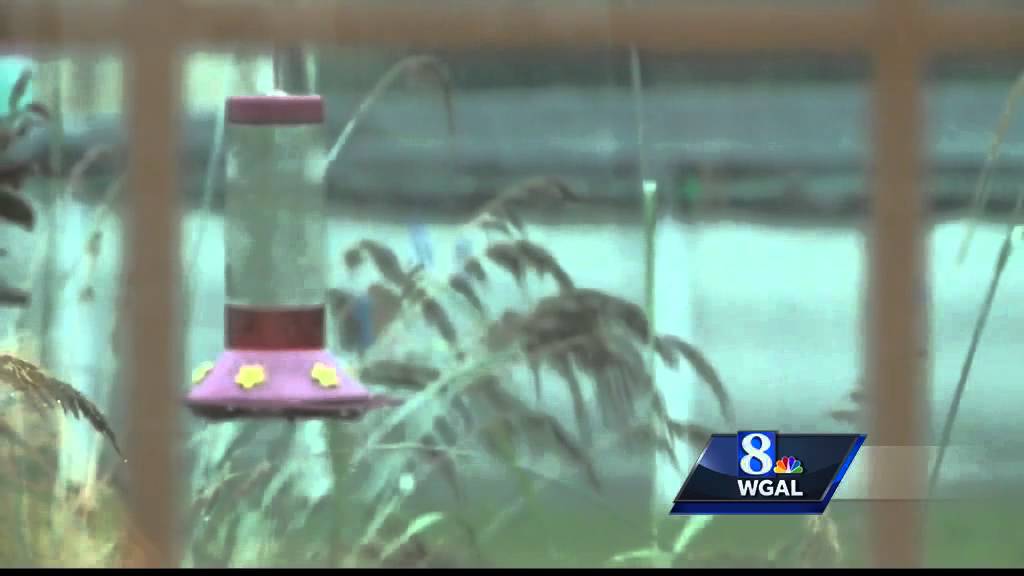 Mother of Amish school shooter shares message of forgiveness