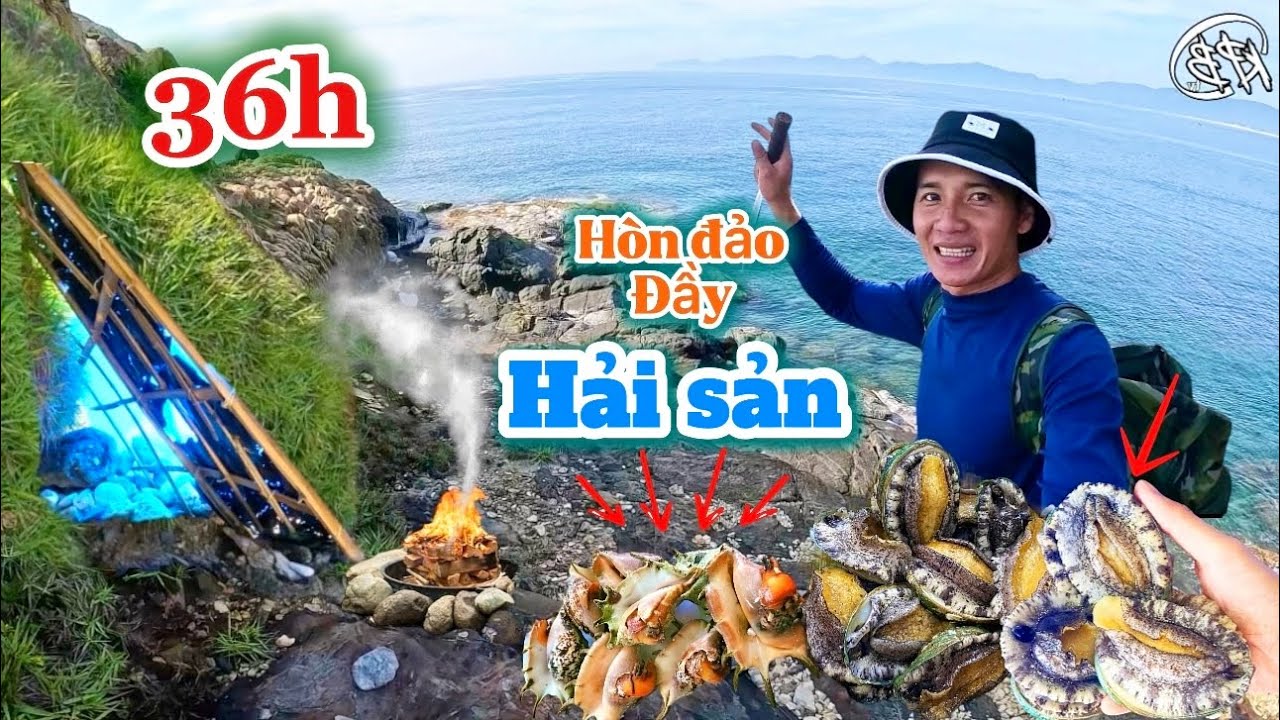 36H XÂY DỰNG NƠI TRÚ ẨN ẤM ÁP & TÌM KIẾM THỨC ĂN TRÊN HÒN ĐẢO ĐẦY HẢI SẢN | 2 days survival camping