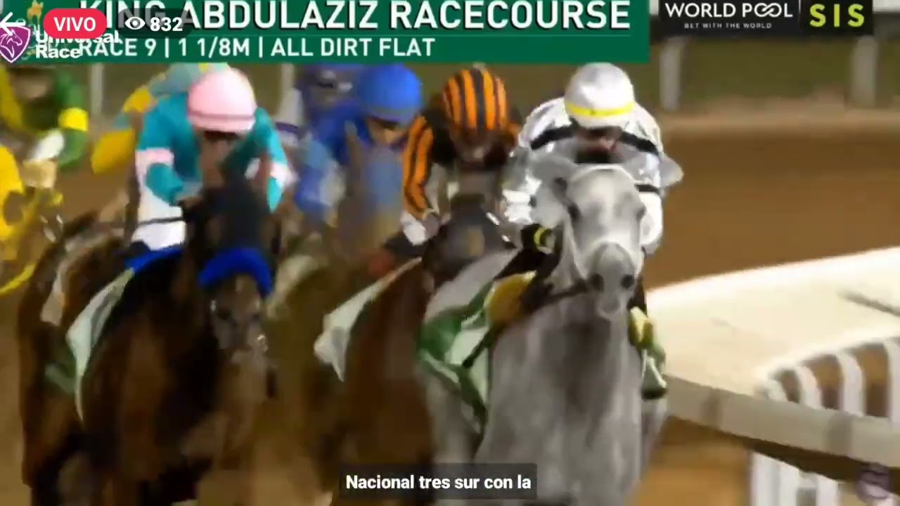 Saudi Cup 2024 - Señor Buscador | Narracion Yonnatan Criollo