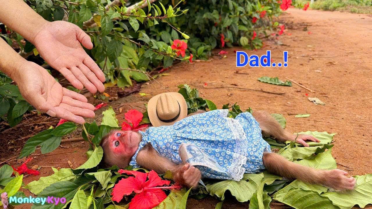 KYO asked Dad for money to buy cake — And the funny ending will surprise you | Full version