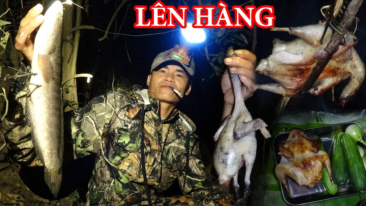 #3 Cắm Câu Cá, Kiếm Mồi Gà Rừng, Ngủ Rừng, Cuộc Sống Trong Rừng