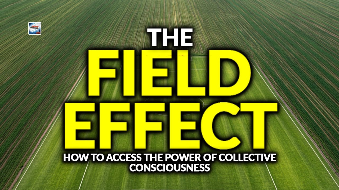 The Field Effect &ndash; How To Access The Power Of Collective Consciousness
