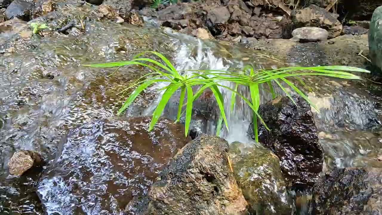 Natural Fast River Sounds for Sleep, Relaxation, and Meditation